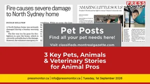 3 Key Pets, Animals & Veterinary Stories for Animal Pros