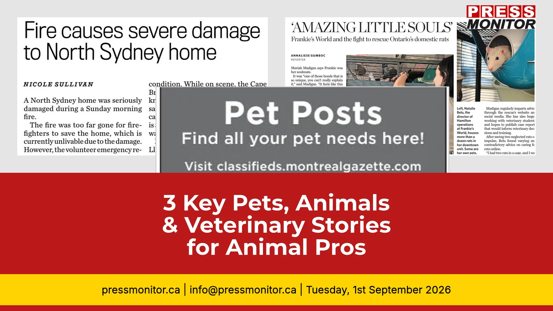 3 Key Pets, Animals & Veterinary Stories for Animal Pros