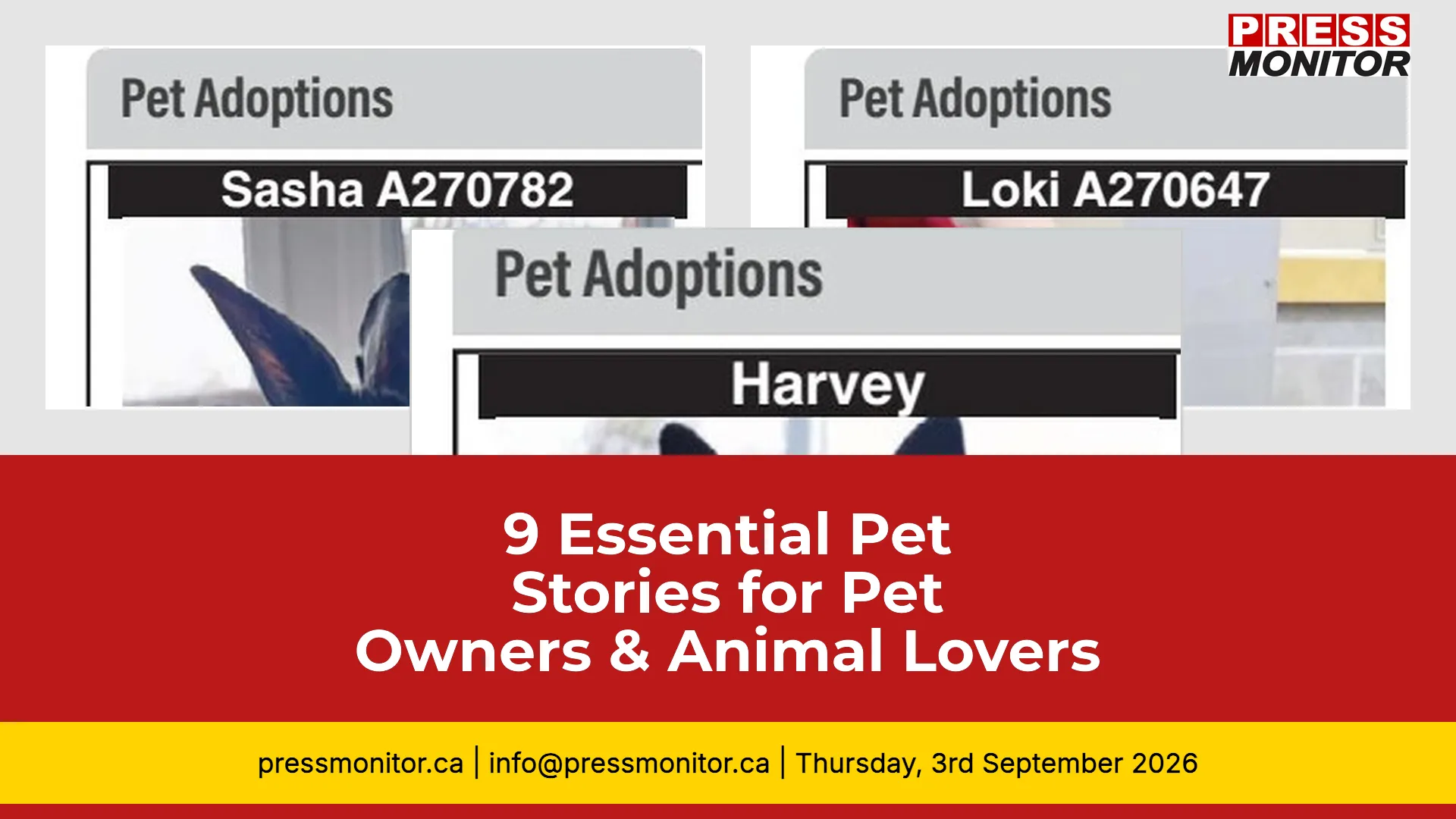 9 Essential Pet Stories for Pet Owners & Animal Lovers