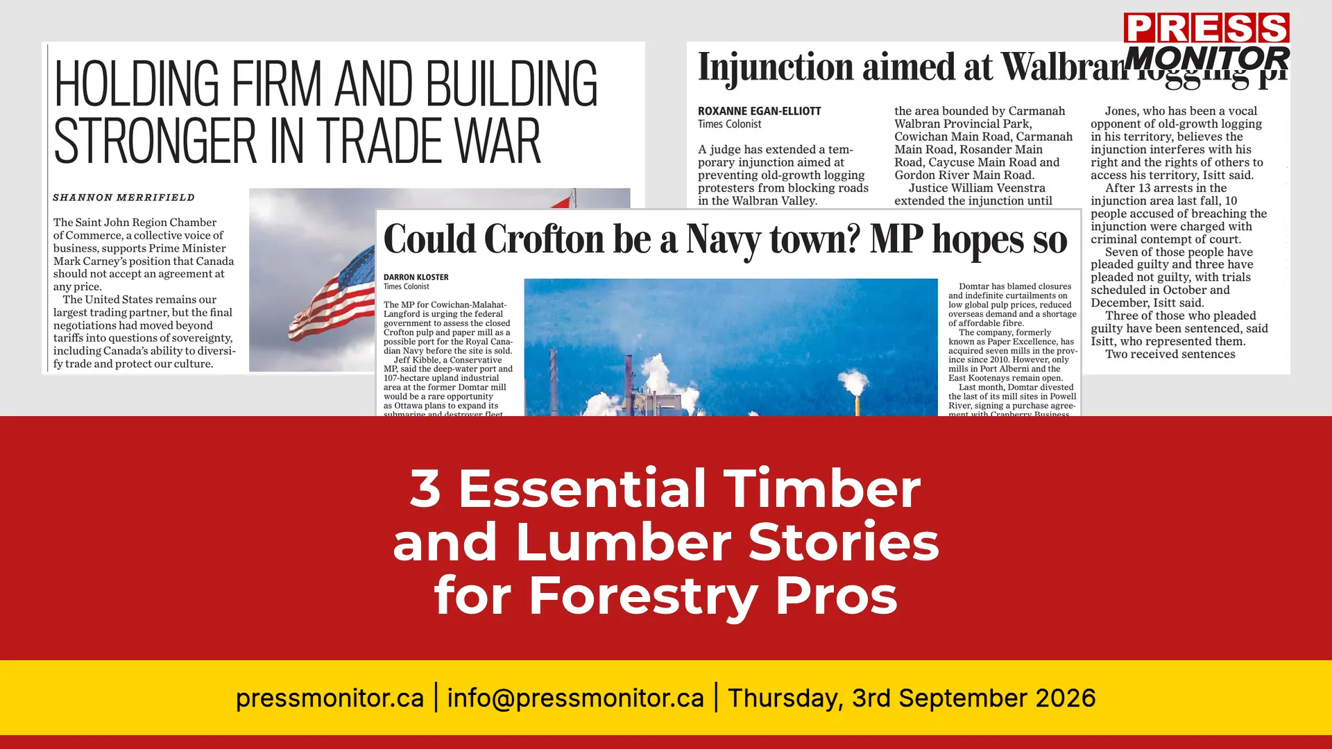 3 Essential Timber and Lumber Stories for Forestry Professionals