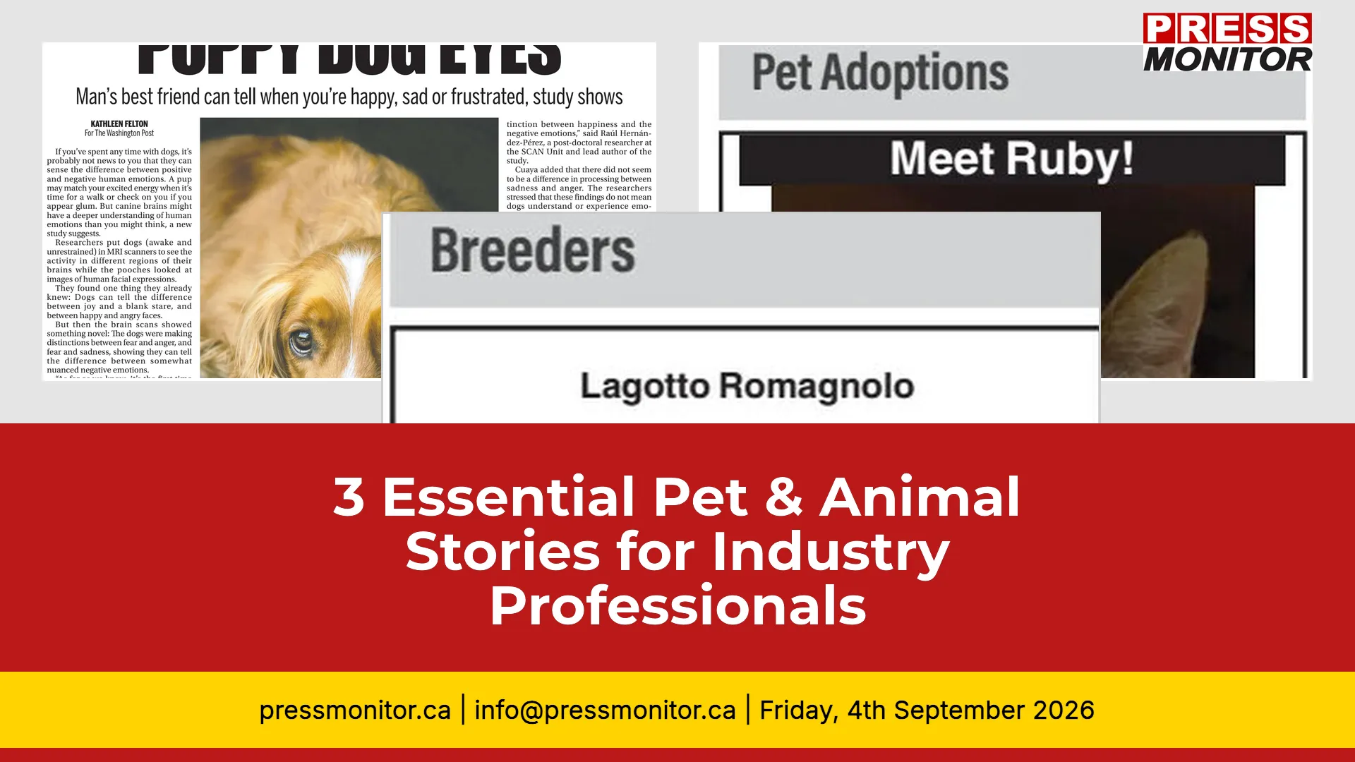 3 Essential Pet & Animal Stories for Industry Professionals