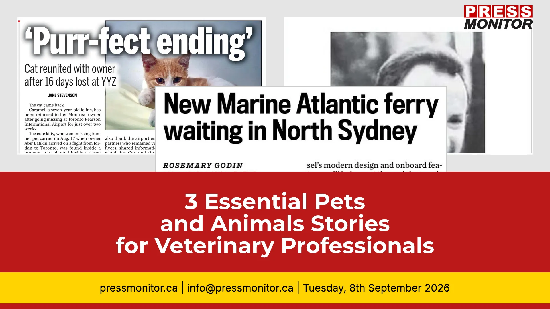 3 Essential Pets and Animals Stories for Veterinary Professionals