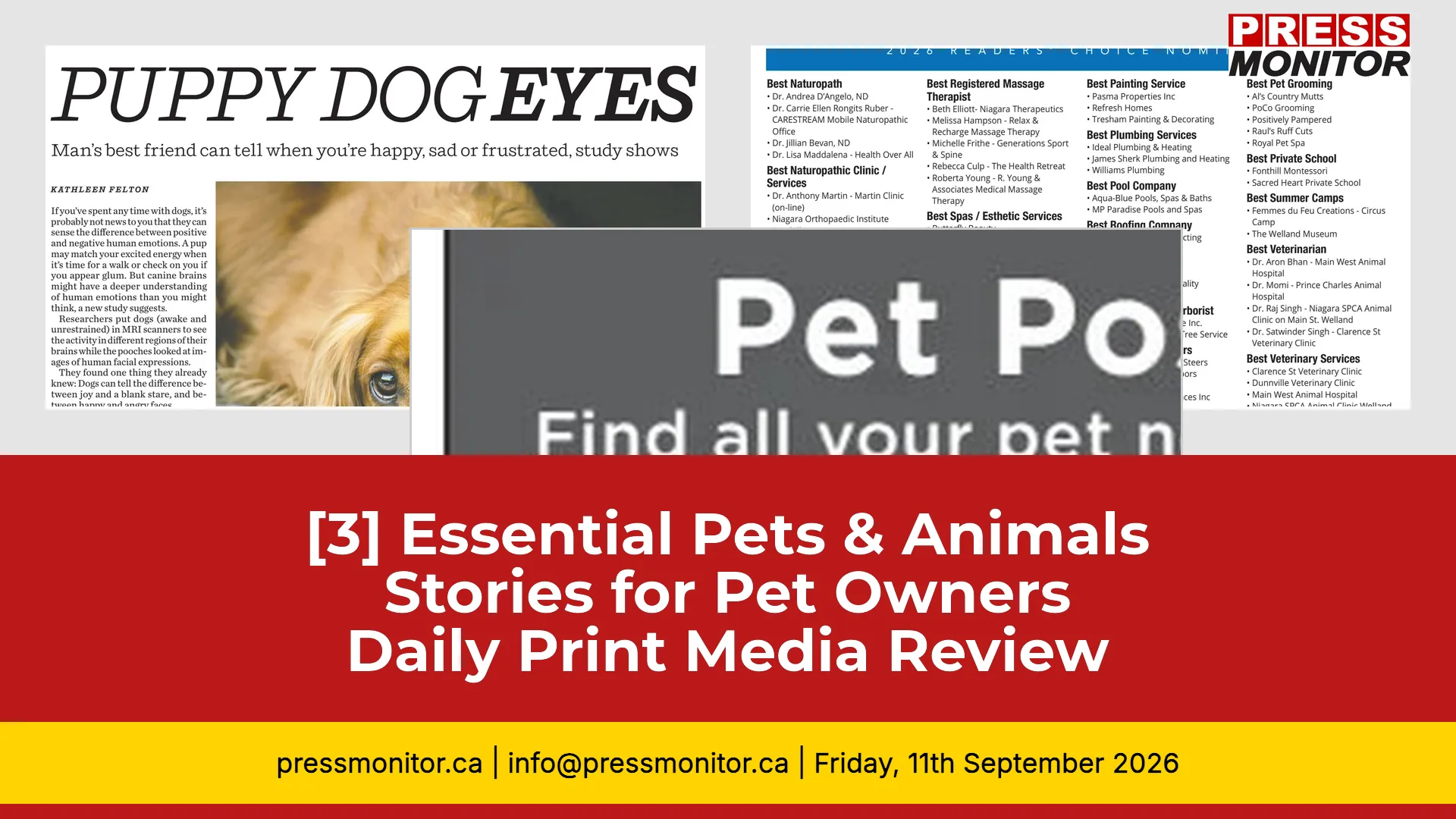 [3] Essential Pets & Animals Stories for Pet Owners