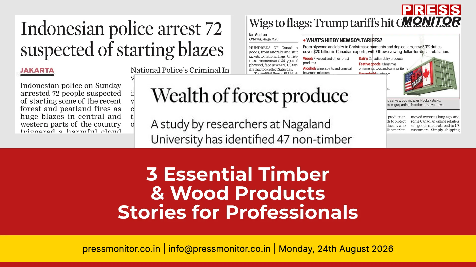 3 Essential Timber & Wood Products Stories for Industry Professionals