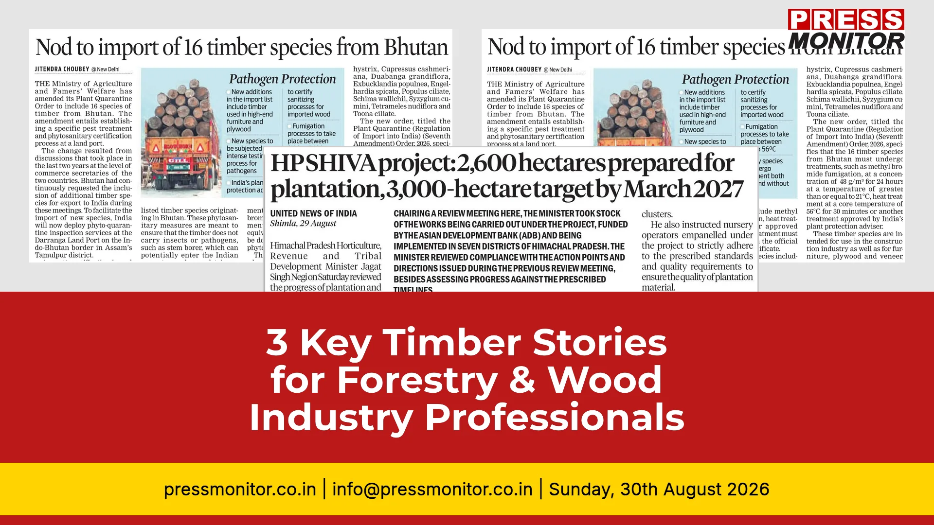 3 Key Timber Stories for Forestry & Wood Industry Professionals