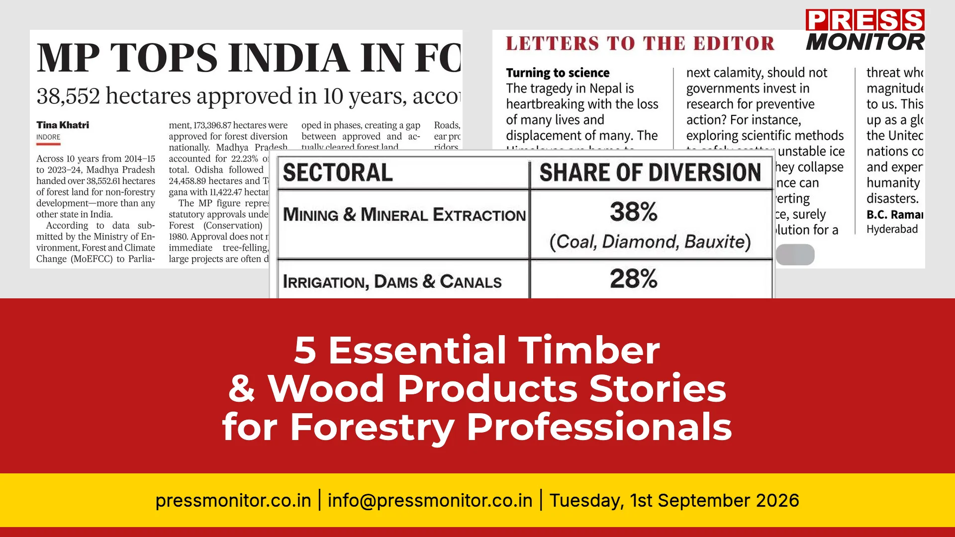 5 Essential Timber & Wood Products Stories for Forestry Professionals