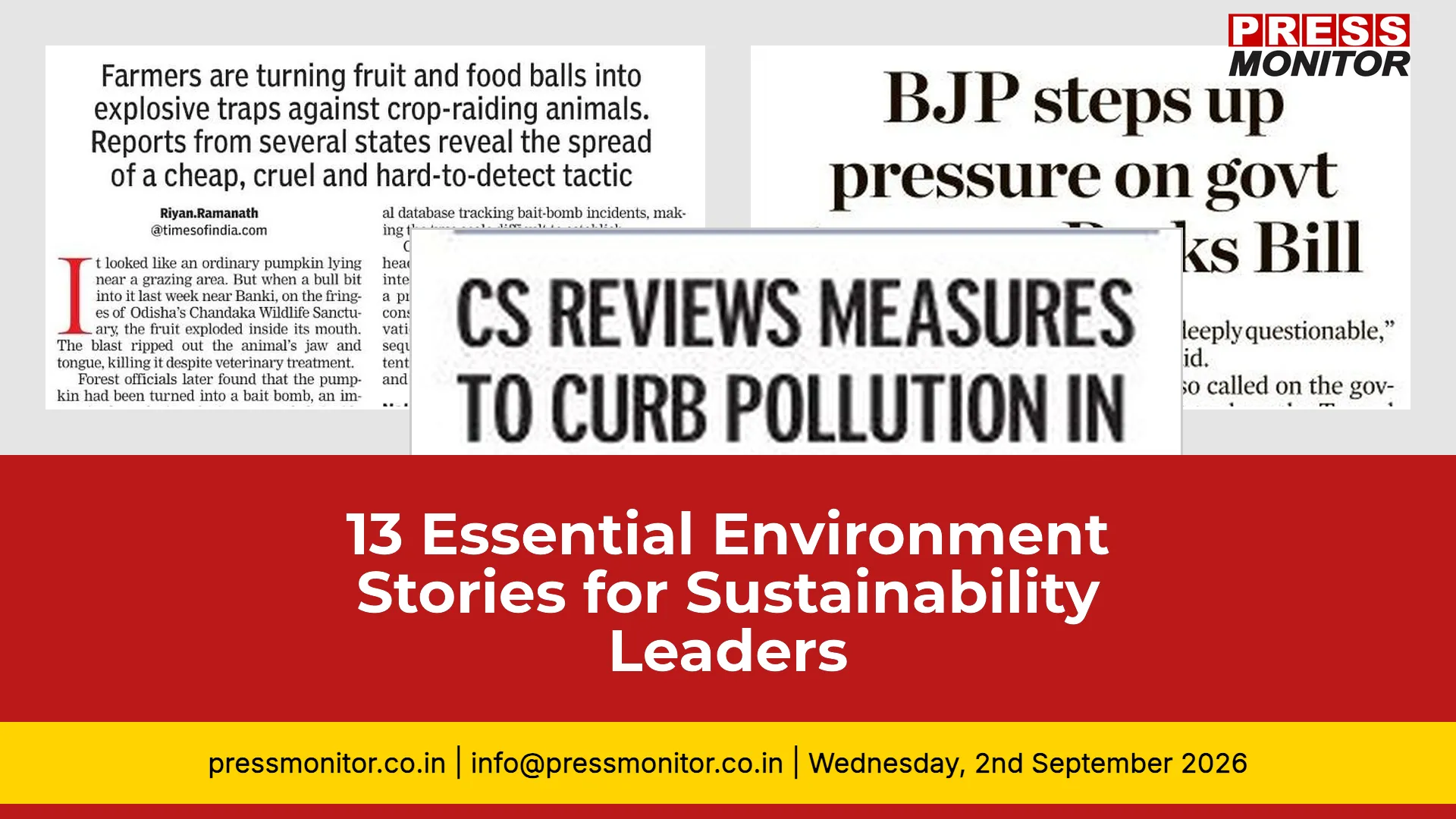 13 Essential Environment Stories for Sustainability Leaders