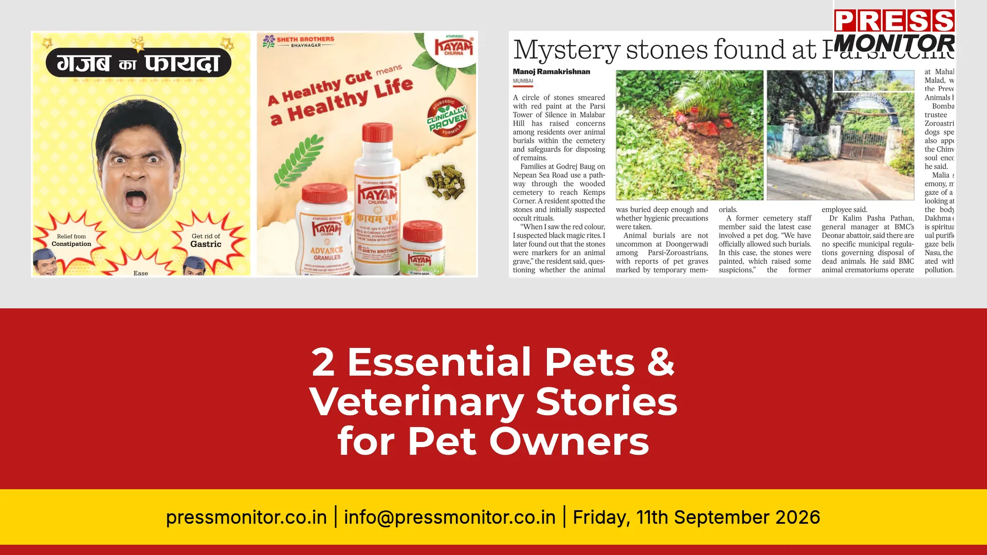 2 Essential Pets & Veterinary Stories for Pet Owners