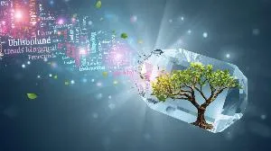 Environment