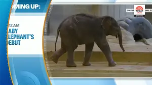 Global Tensions, Market Shifts and Sports Scandals: Today-All-Day's Must-Watch Coverage