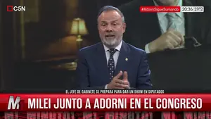 Argentina en la encrucijada: Milei, Milei y más Milei. El día que el poder se midió en Casa Rosada y en las calles
