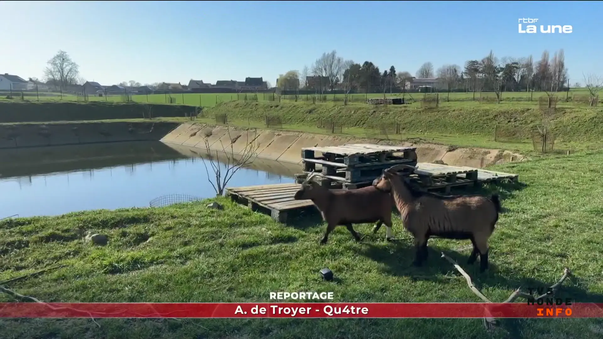 Géopolitique en ébullition : guerres, économie et société sous tension — Le meilleur de tv5monde-info pour comprendre la journée du 13 mars 2026