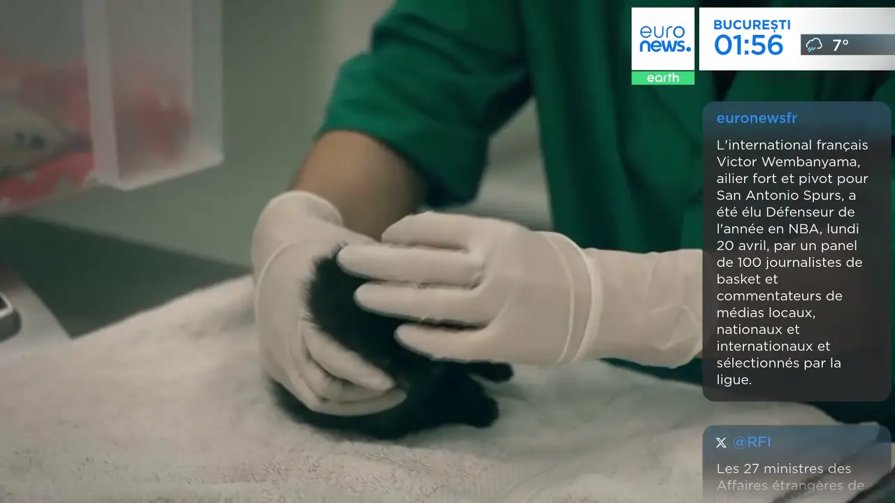 Crise Iran-États-Unis, économie russe en difficulté et transition d'Apple : le tour d'horizon des tensions géopolitiques et économiques qui façonnent l'Europe