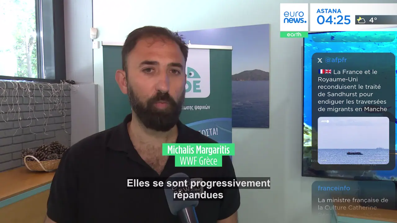 Crise géopolitique et économique en Europe : tensions, sanctions et défis énergétiques dominent l'actualité