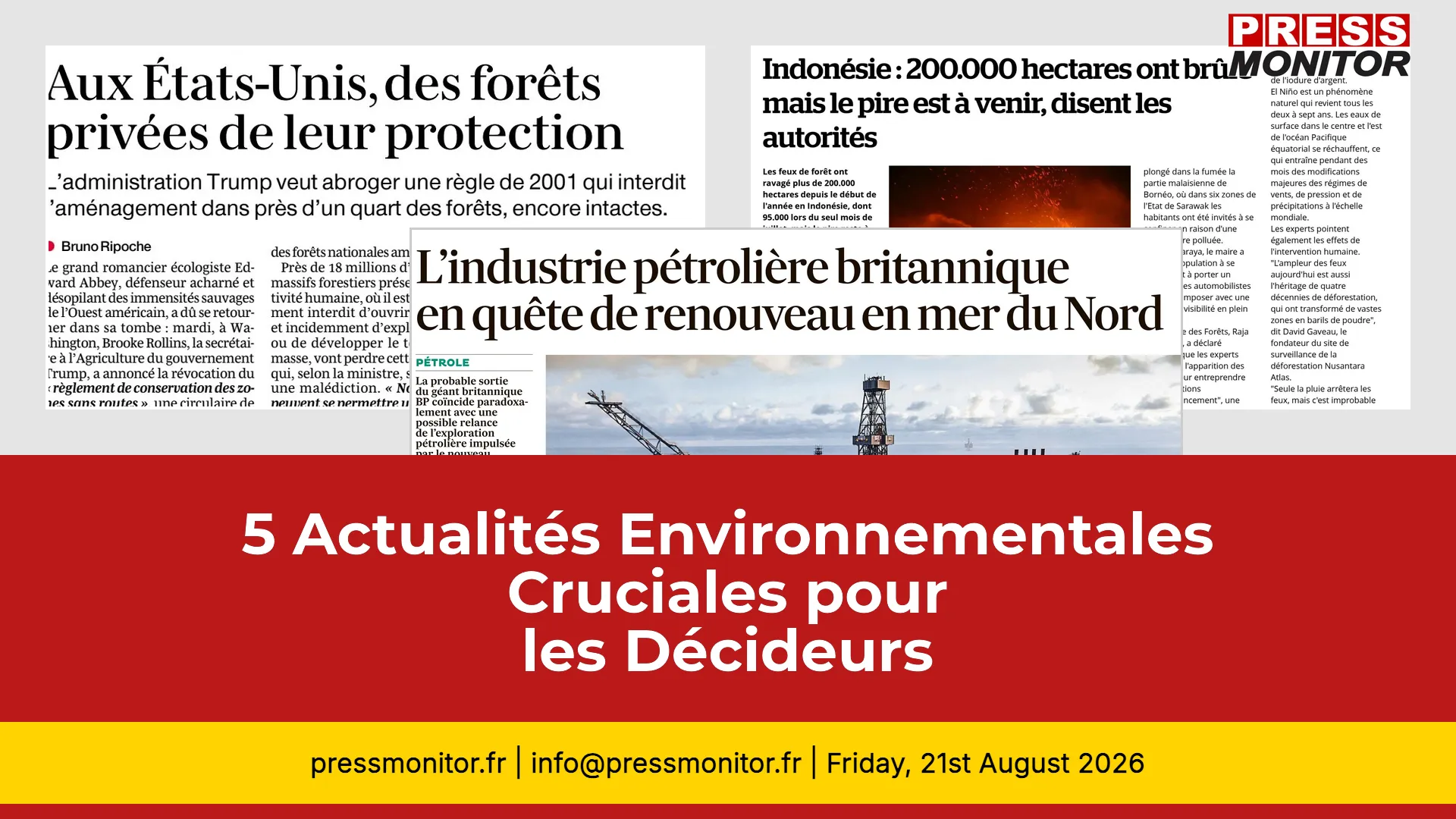 5 Actualités Environnementales Cruciales pour les Décideurs