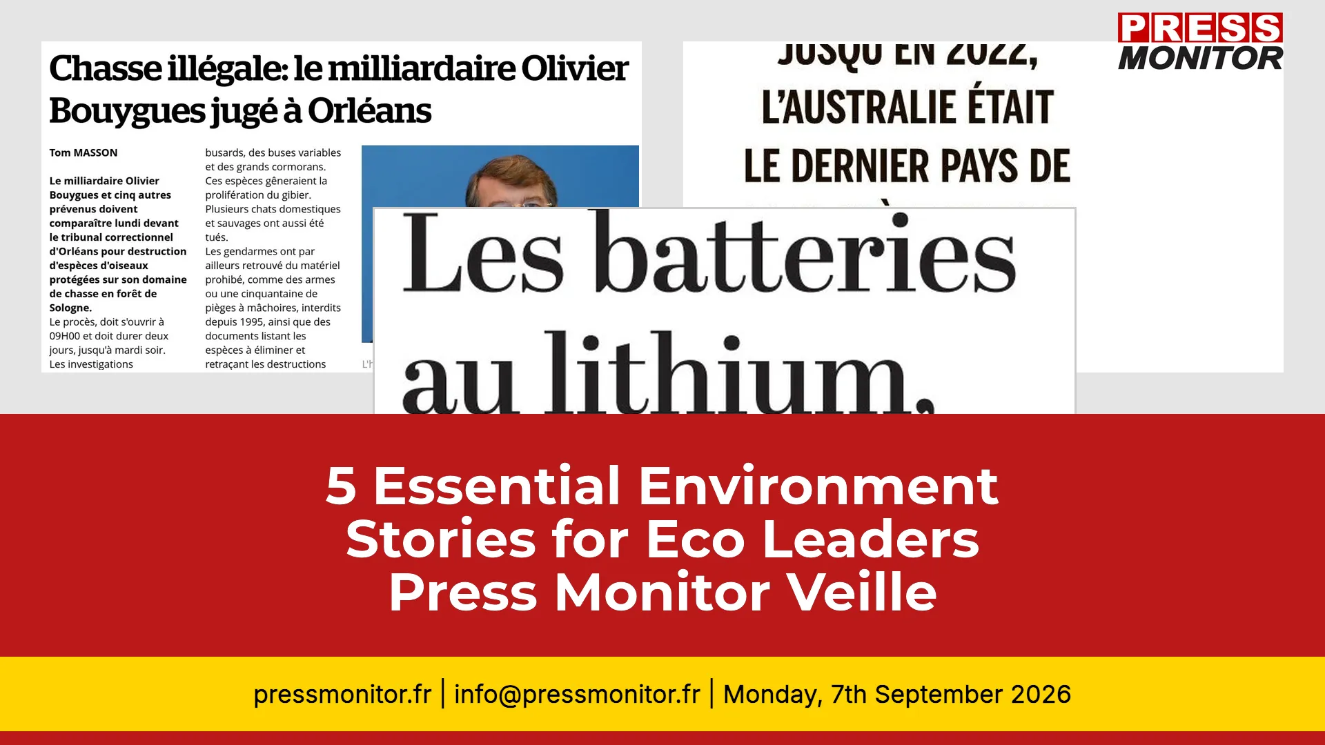 5 Essential Environment Stories for Eco Leaders